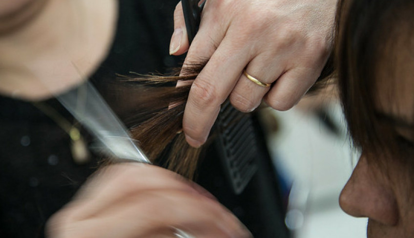 ASN São Paulo - Agência Sebrae de Notícias