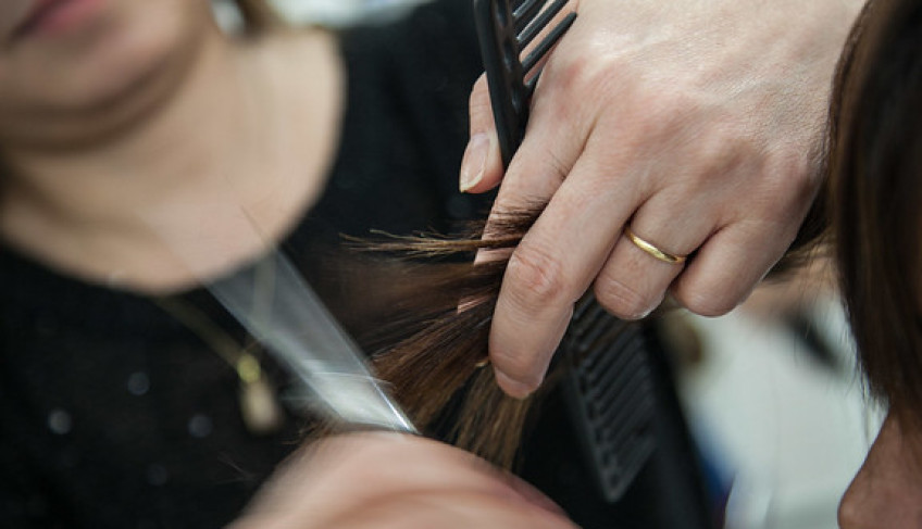 ASN São Paulo - Agência Sebrae de Notícias