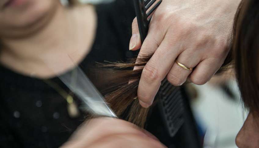 ASN São Paulo - Agência Sebrae de Notícias