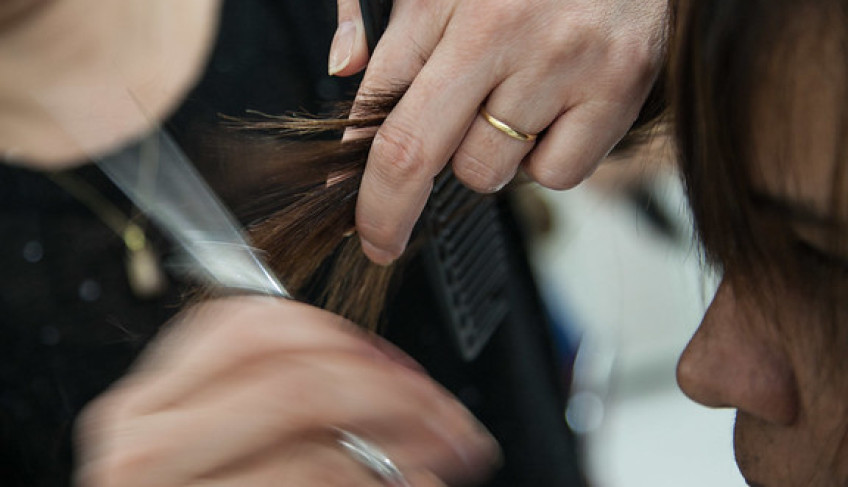 ASN São Paulo - Agência Sebrae de Notícias