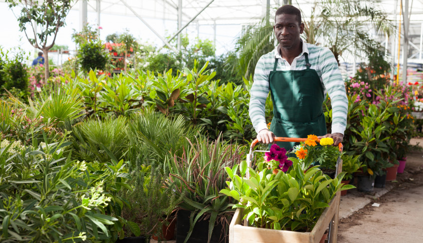 ASN São Paulo - Agência Sebrae de Notícias