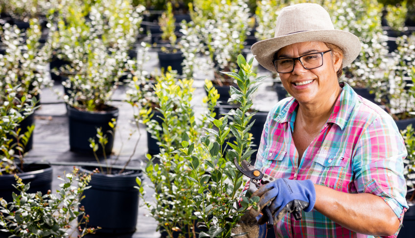 ASN São Paulo - Agência Sebrae de Notícias