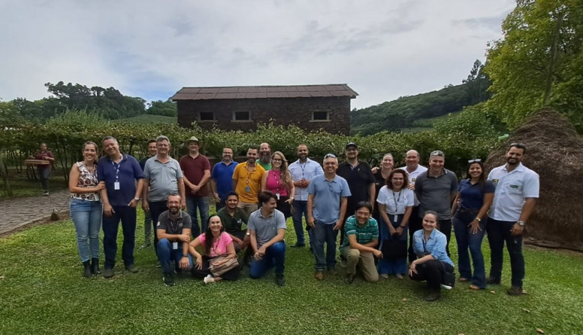 ASN São Paulo - Agência Sebrae de Notícias