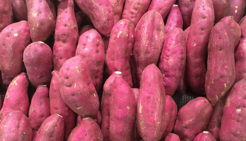 ASN São Paulo - Agência Sebrae de Notícias