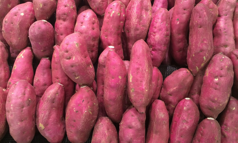 ASN São Paulo - Agência Sebrae de Notícias