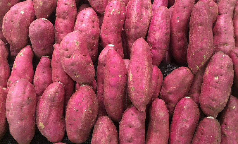 ASN São Paulo - Agência Sebrae de Notícias