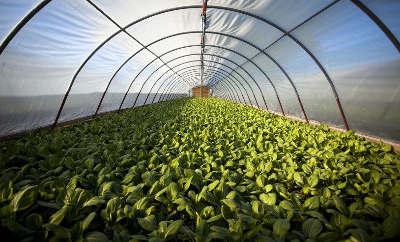 ASN São Paulo - Agência Sebrae de Notícias