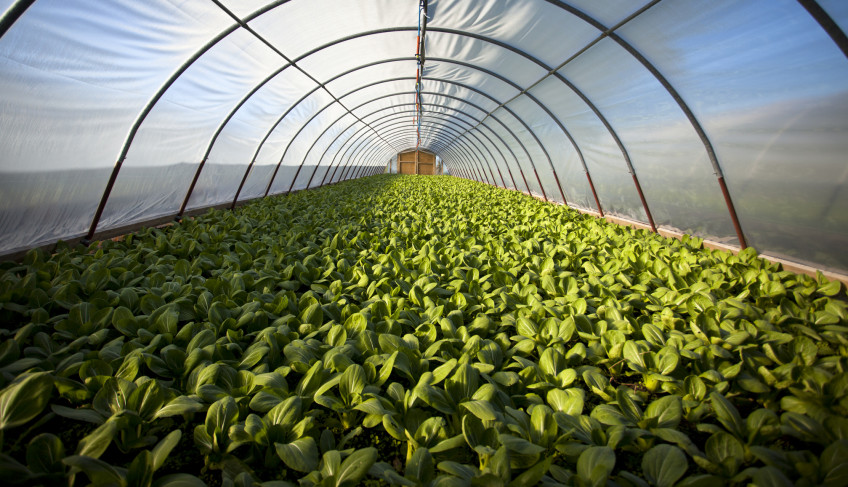 ASN São Paulo - Agência Sebrae de Notícias
