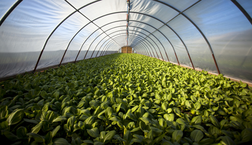 ASN São Paulo - Agência Sebrae de Notícias