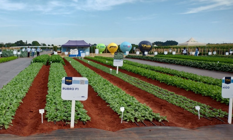 ASN São Paulo - Agência Sebrae de Notícias