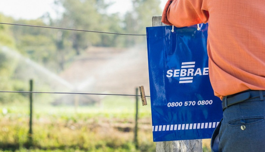 ASN São Paulo - Agência Sebrae de Notícias