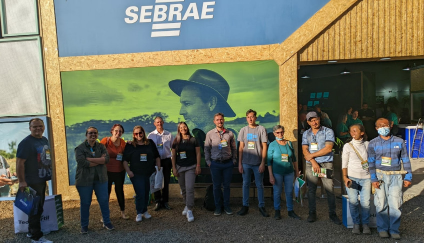 ASN São Paulo - Agência Sebrae de Notícias