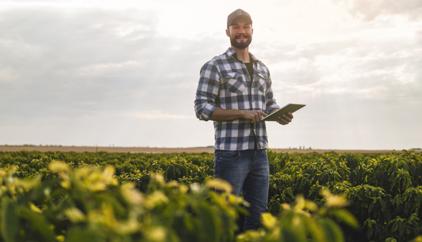 ASN São Paulo - Agência Sebrae de Notícias