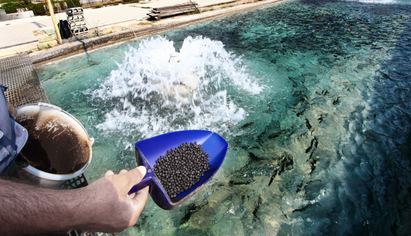 ASN São Paulo - Agência Sebrae de Notícias