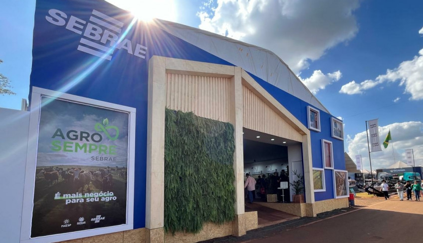 ASN São Paulo - Agência Sebrae de Notícias