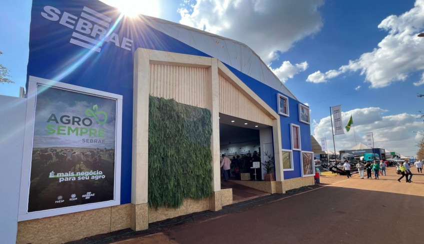 ASN São Paulo - Agência Sebrae de Notícias