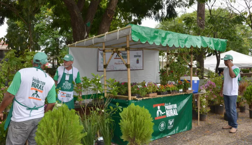 ASN São Paulo - Agência Sebrae de Notícias