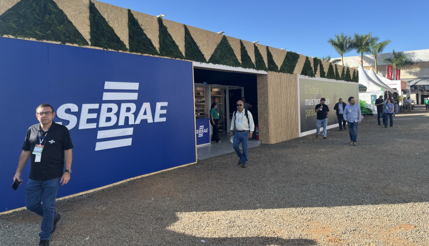 ASN São Paulo - Agência Sebrae de Notícias