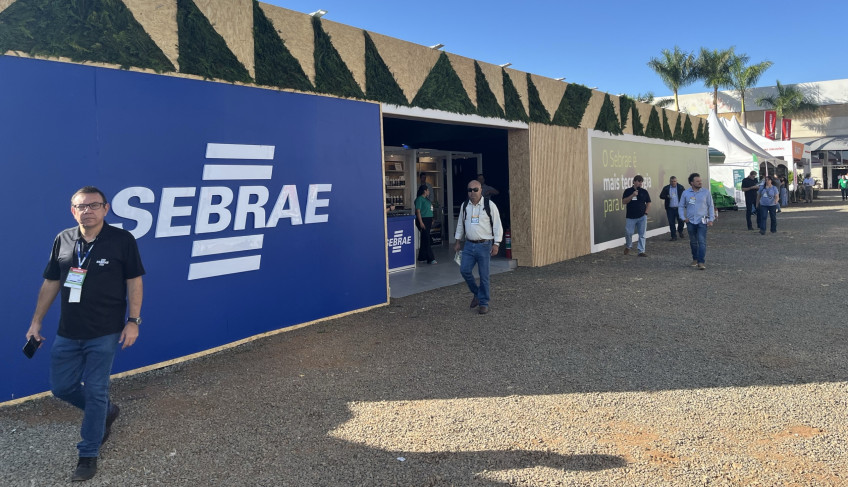 ASN São Paulo - Agência Sebrae de Notícias