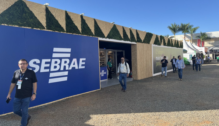 ASN São Paulo - Agência Sebrae de Notícias