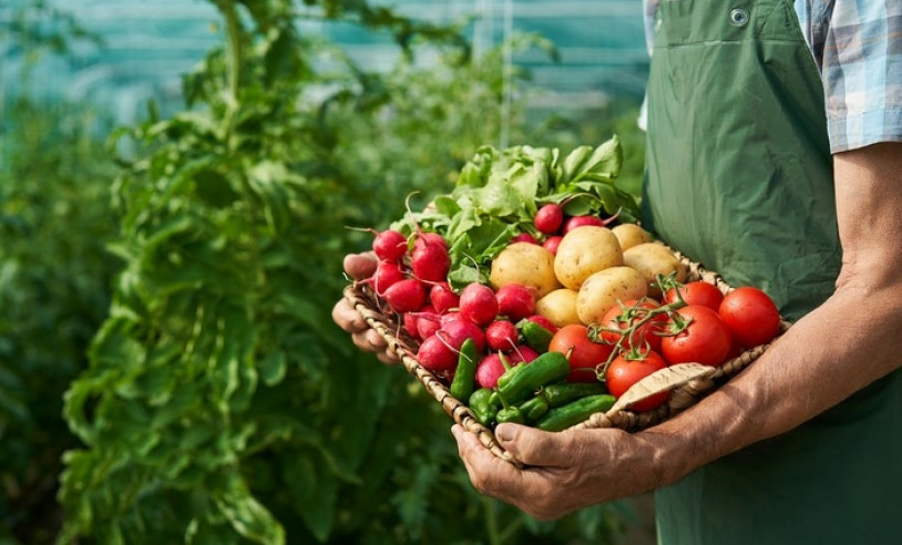 ASN São Paulo - Agência Sebrae de Notícias