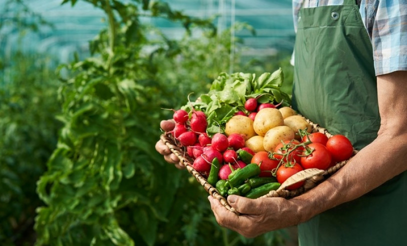 ASN São Paulo - Agência Sebrae de Notícias
