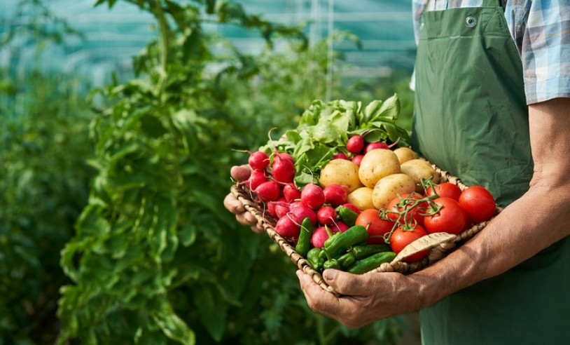 ASN São Paulo - Agência Sebrae de Notícias