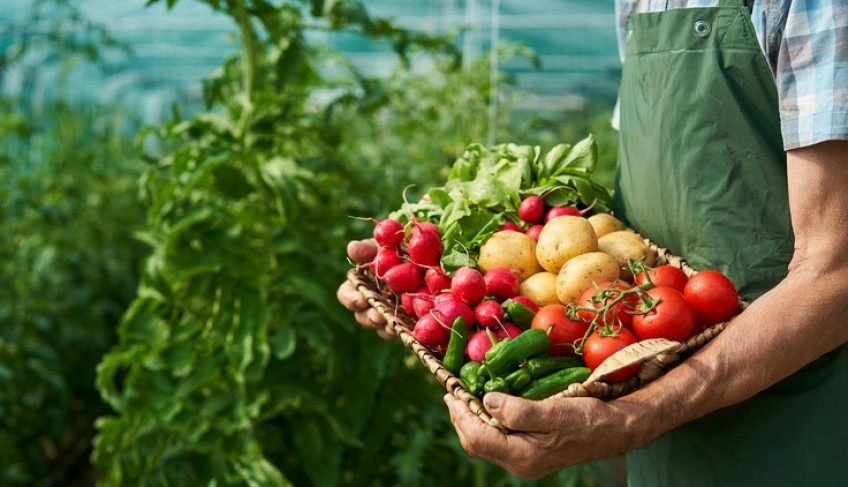 ASN São Paulo - Agência Sebrae de Notícias