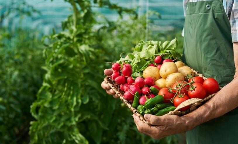 ASN São Paulo - Agência Sebrae de Notícias