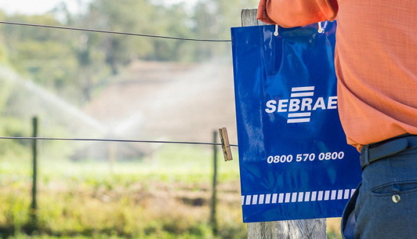 ASN São Paulo - Agência Sebrae de Notícias