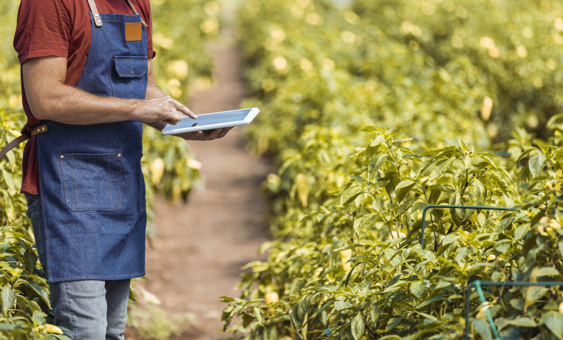 ASN São Paulo - Agência Sebrae de Notícias
