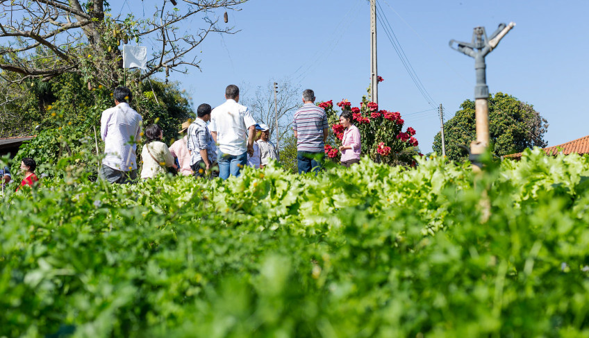 ASN São Paulo - Agência Sebrae de Notícias