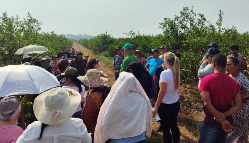 ASN São Paulo - Agência Sebrae de Notícias
