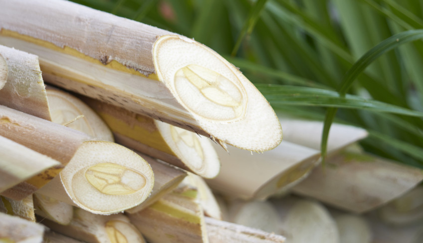 ASN São Paulo - Agência Sebrae de Notícias