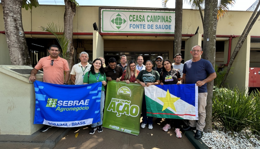 ASN São Paulo - Agência Sebrae de Notícias
