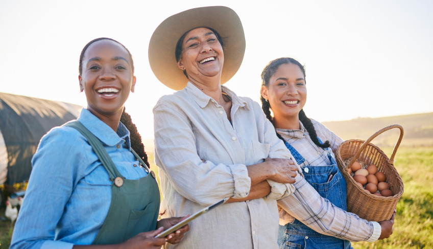 ASN São Paulo - Agência Sebrae de Notícias