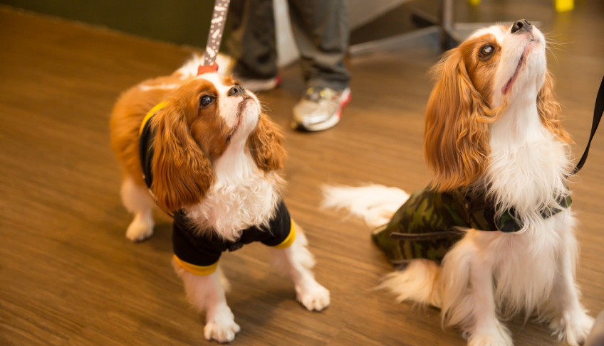 ASN São Paulo - Agência Sebrae de Notícias
