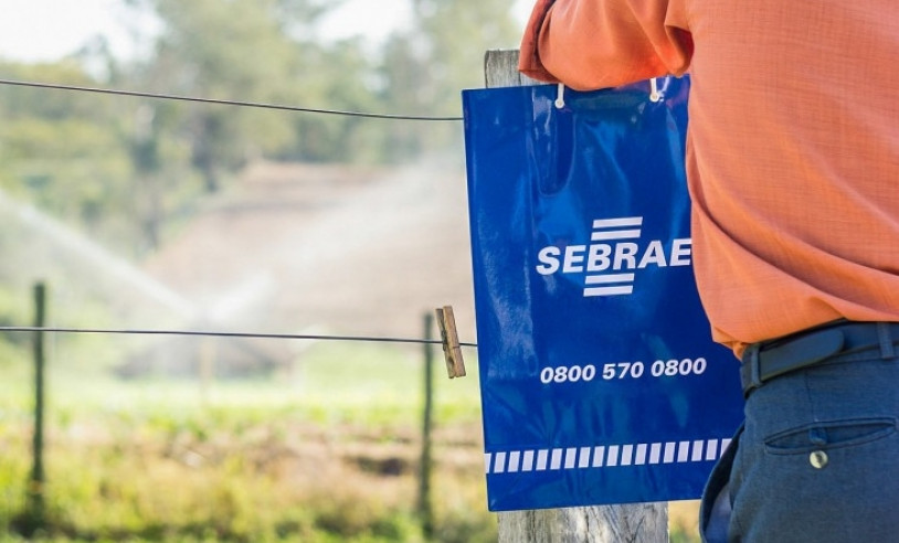 ASN São Paulo - Agência Sebrae de Notícias