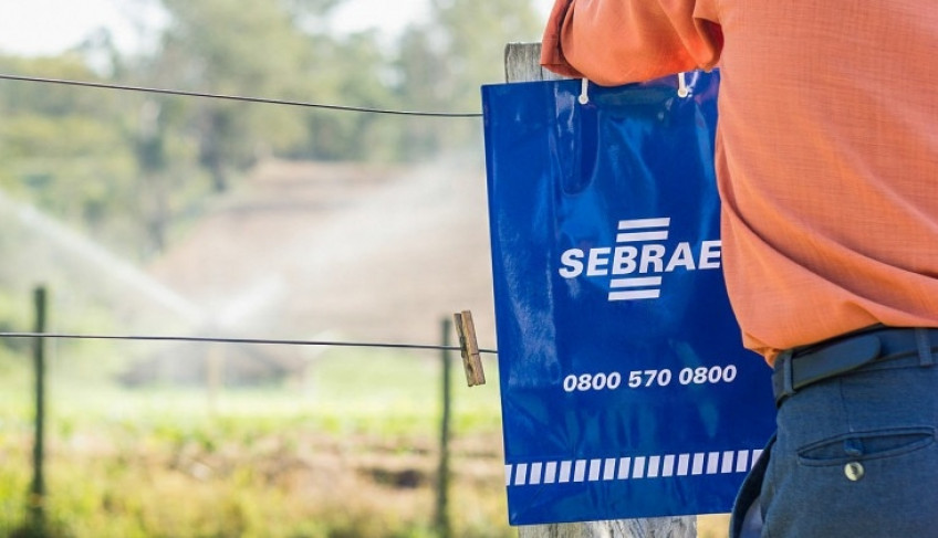 ASN São Paulo - Agência Sebrae de Notícias