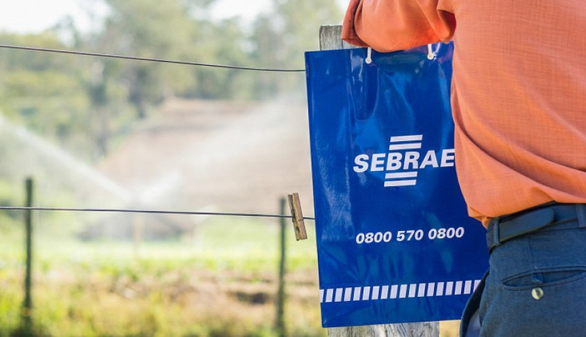 ASN São Paulo - Agência Sebrae de Notícias