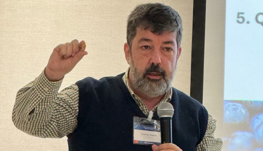 ASN São Paulo - Agência Sebrae de Notícias