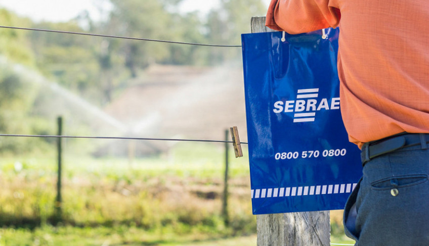 ASN São Paulo - Agência Sebrae de Notícias