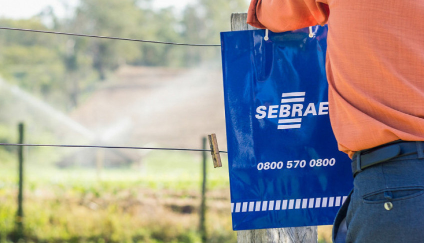 ASN São Paulo - Agência Sebrae de Notícias