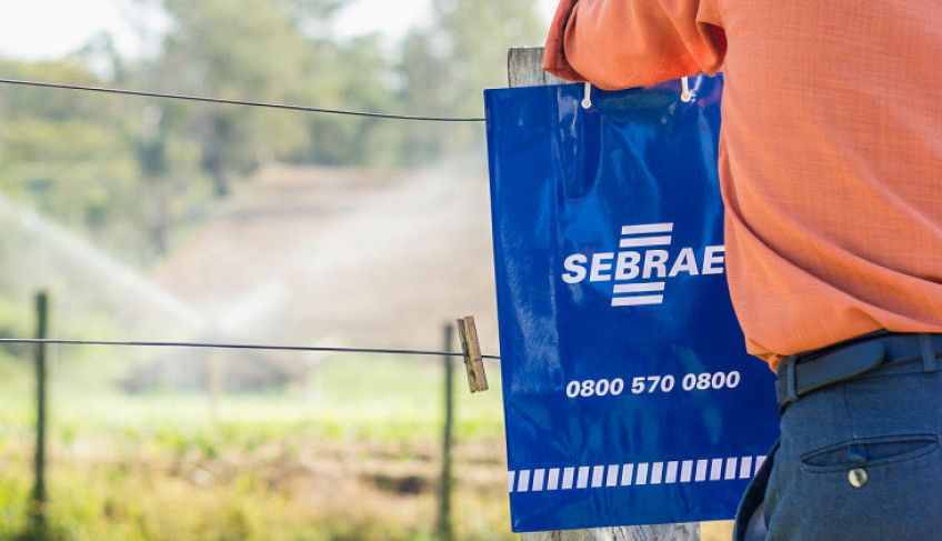 ASN São Paulo - Agência Sebrae de Notícias