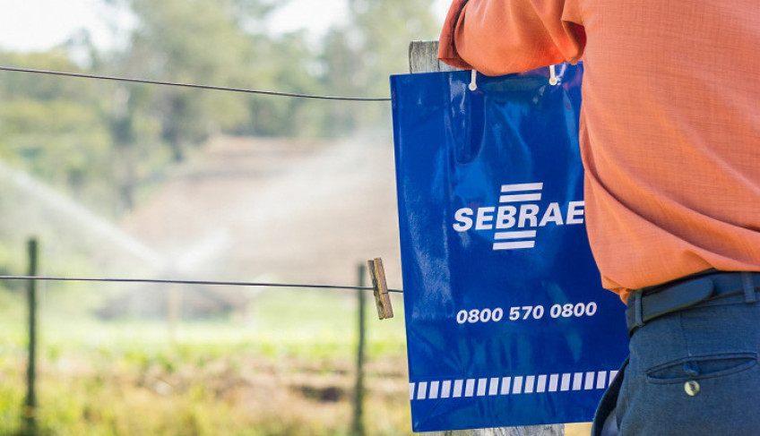 ASN São Paulo - Agência Sebrae de Notícias