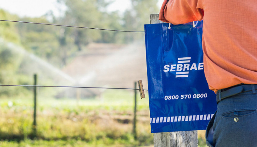 ASN São Paulo - Agência Sebrae de Notícias