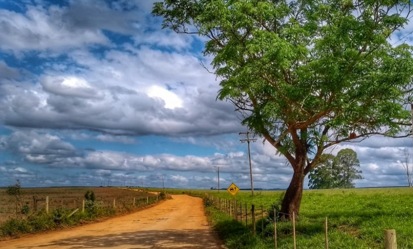 ASN São Paulo - Agência Sebrae de Notícias