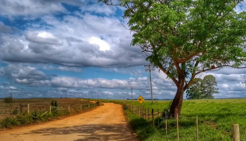 ASN São Paulo - Agência Sebrae de Notícias