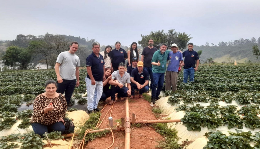 ASN São Paulo - Agência Sebrae de Notícias