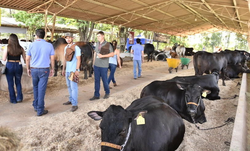 ASN São Paulo - Agência Sebrae de Notícias